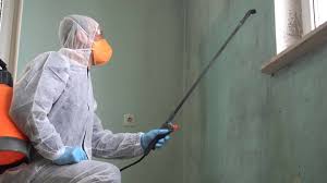 Best Industrial Mold Remediation  in Orida Ridge, FL